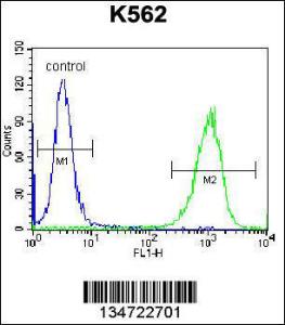 Anti-GOLGA5 Rabbit Polyclonal Antibody (FITC (Fluorescein Isothiocyanate))