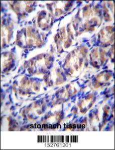 Anti-ODF2L Rabbit Polyclonal Antibody (AP (Alkaline Phosphatase))