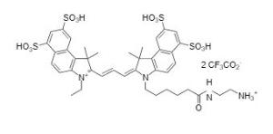 Cyanine 3.5 amine 139 1 mg