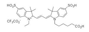 Cyanine 3 monoacid 140 5 mg