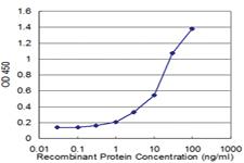 Anti-HIF1A Mouse Monoclonal Antibody [clone: 1D4]