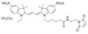 Cyanine 3 maleimide 142 1 mg