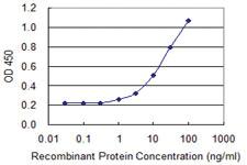 Anti-SLC9A3R1 Mouse Monoclonal Antibody [clone: 2B7]