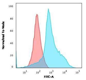 Flow cytometric analysis of Jurkat cells using Anti-CD40L Antibody [CD40LG/2763] followed by Goat Anti-Mouse IgG (CFand#174; 488) (Blue). Isotype Control (Red)