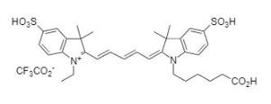 Cyanine 5 monoacid 150 5 mg