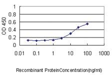 Anti-CAP1 Mouse Monoclonal Antibody [clone: 4A2]