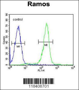 Anti-KNG1 Rabbit Polyclonal Antibody (APC (Allophycocyanin))