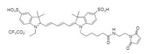 Cyanine 5 maleimide 152 1 mg