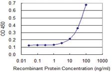 Anti-FICD Mouse Monoclonal Antibody [clone: 3F5]