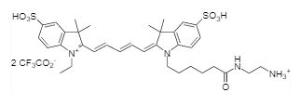 Cyanine 5 amine 155 1 mg