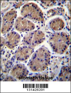 Anti-S3TC1 Rabbit Polyclonal Antibody (APC (Allophycocyanin))