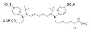 Cyanine 5 hydrazide 156 1 mg