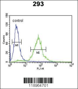 Anti-SETD8 Rabbit Polyclonal Antibody