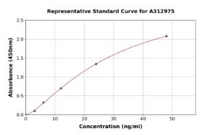 Representative standard curve for Human beta III Tubulin ELISA kit (A312975)