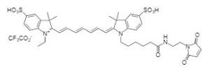 Cyanine 7 maleimide 162 1 mg