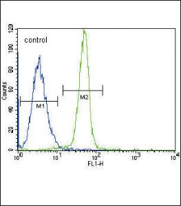 Anti-LEPR Rabbit Polyclonal Antibody (HRP (Horseradish Peroxidase))