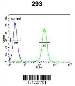 Anti-Roundabout 4 Rabbit Polyclonal Antibody (AP (Alkaline Phosphatase))