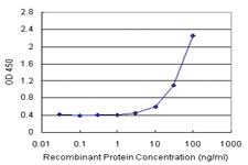 Anti-GRHPR Antibody Pair