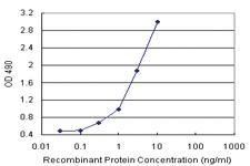 Anti-IGKC Antibody Pair