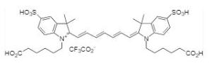 Cyanine 7 bisacid 169 5 mg