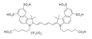 Cyanine 5.5 bisacid 172 5 mg