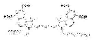 Cyanine 5.5 monoacid 173 5 mg