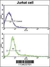 Anti-CD9 Rabbit Polyclonal Antibody