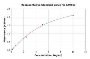 Representative standard curve for Rat NFkB p105/p50 ELISA kit (A79563)