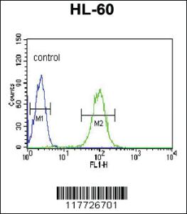 Anti-BPI Rabbit Polyclonal Antibody