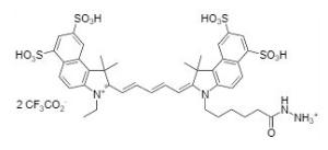 Cyanine 5.5 hydrazid 177 1 mg