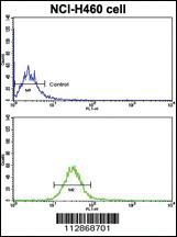 Anti-CDH10 Rabbit Polyclonal Antibody