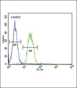 Anti-S6A12 Rabbit Polyclonal Antibody (FITC (Fluorescein Isothiocyanate))