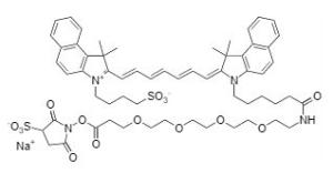 Ic g-sulfo-e g4-osu 183 1 mg