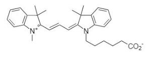 Cy3ns acid 190 100 mg