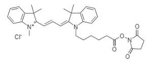 Cy3ns succinimidyl e 191 25 mg