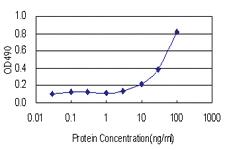 Anti-LIPG Antibody Pair