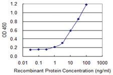 Anti-SLC22A8 Mouse Monoclonal Antibody [clone: 3C11]