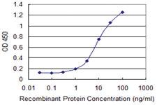 Anti-KIR3DX1 Mouse Monoclonal Antibody [clone: 3E7]