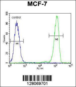 Anti-RABGAP1 Rabbit Polyclonal Antibody (APC (Allophycocyanin))