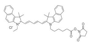 Cy5.5ns succinimidyl 199 10 mg