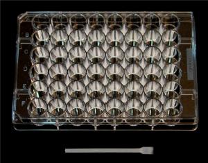 Mini-cell scraper shown next to 48-well plate.