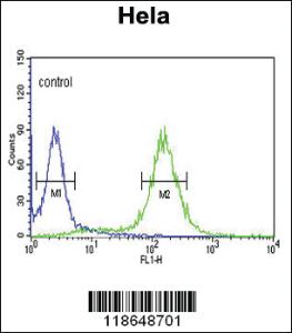 Anti-MPST Rabbit Polyclonal Antibody