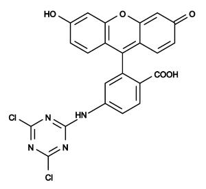 6-dtaf 205 1 g