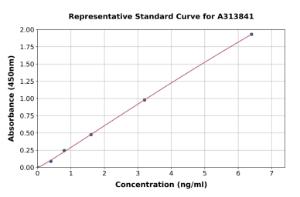 Representative standard curve for human KCNJ18 ELISA kit (A313841)