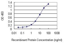 Anti-NRXN1 Mouse Monoclonal Antibody [clone: 4F7]