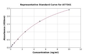 Representative standard curve for Human Slit2 ELISA kit (A77341)