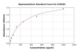 Representative standard curve for Human Neuromedin-S/NMS ELISA kit (A79565)