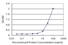 Anti-FABP4 Antibody Pair