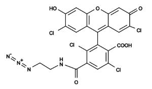 6-tet azide 244 5 mg