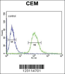 Anti-UTY Rabbit Polyclonal Antibody